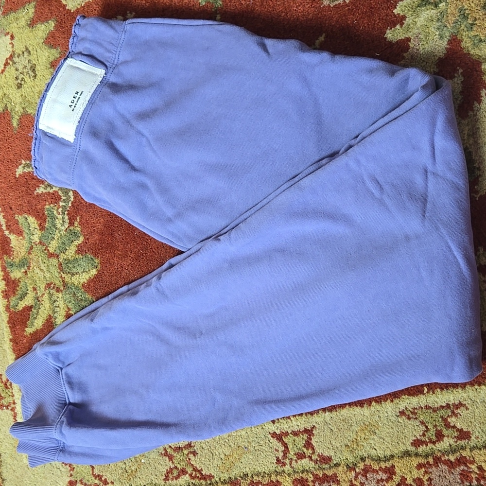 ADER ERROR Cotton jogger Track Pants Purple